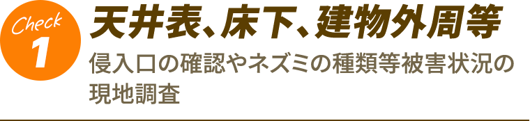 1.天井表、床下、建物外周等
